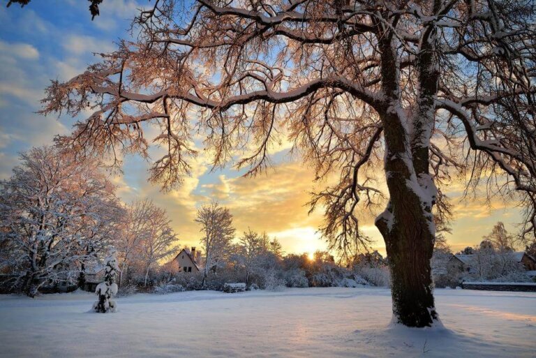 L'accettazione come fase di sviluppo personale