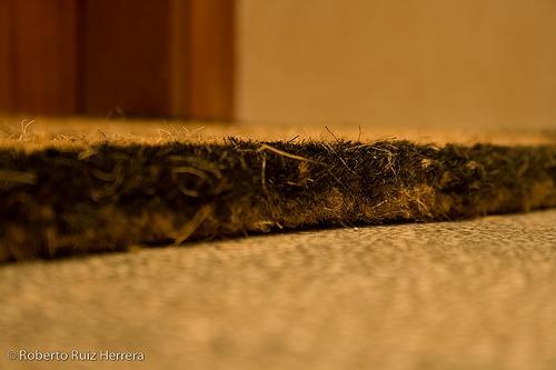 Essere o non essere... uno zerbino