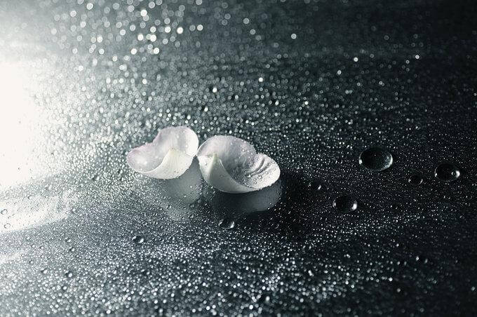 La forza della riconoscenza