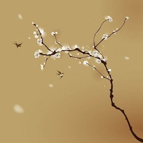 Vivere o sopravvivere