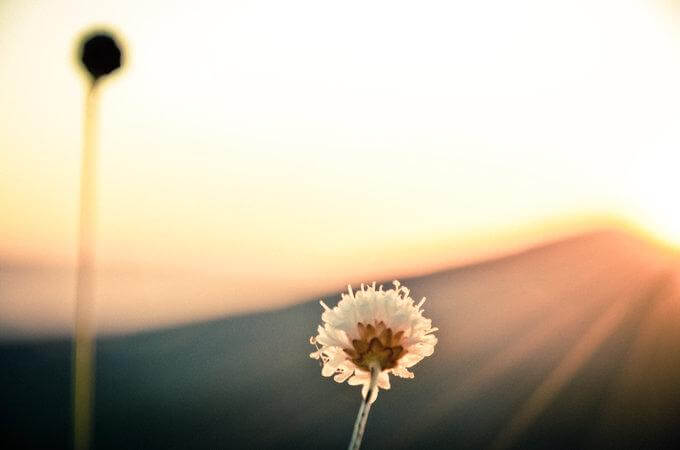 Qui e ora: vivere il presente