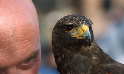 I predatori emotivi. Parte I