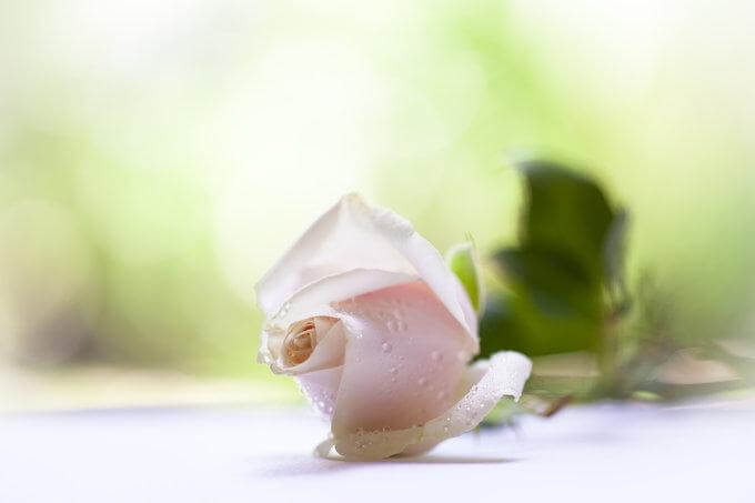 Il regalo più bello: essere se stessi