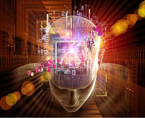 Il sesso del cervello