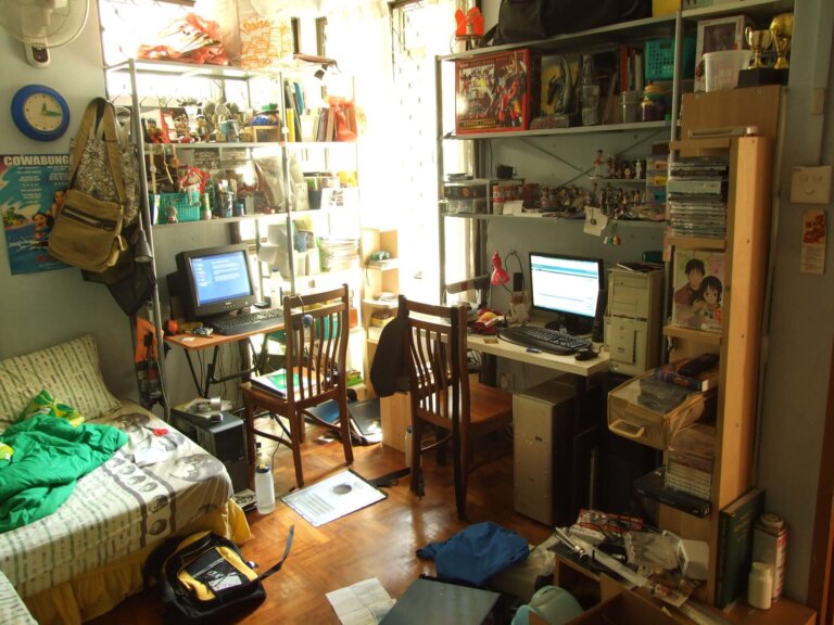 L'ordine e il disordine