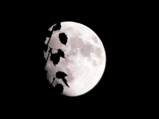 Gli enigmi del silenzio