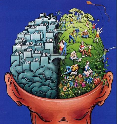 Emisferi cerebrali e personalità: sfatato un mito?