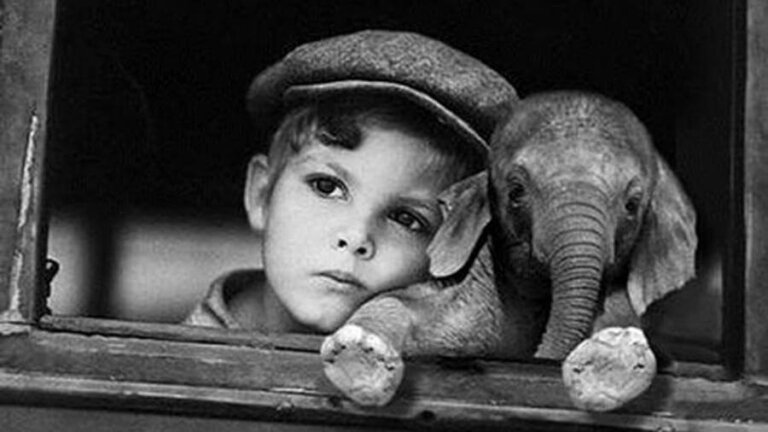 Siamo degli elefanti incatenati?