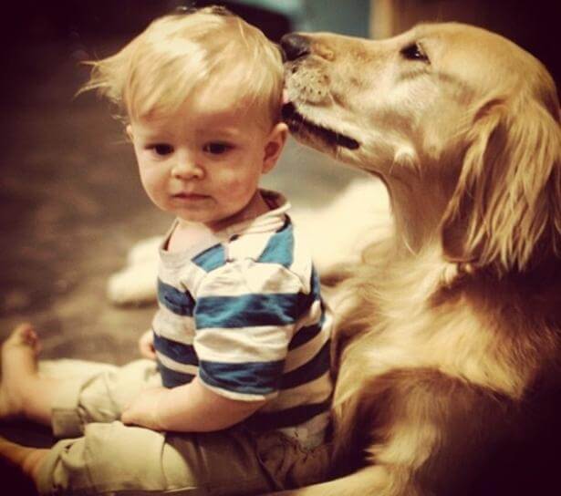 Anche il nostro migliore amico ha una coscienza