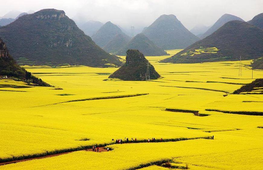 Foto per gentile concessione di + Lanzi.