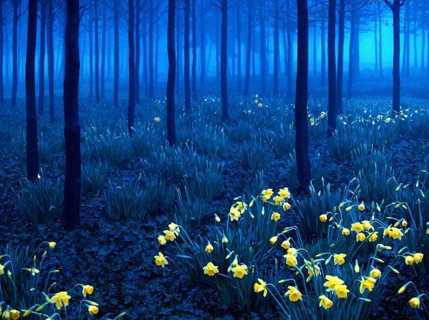 Foto per gentile concessione di andy tilo.