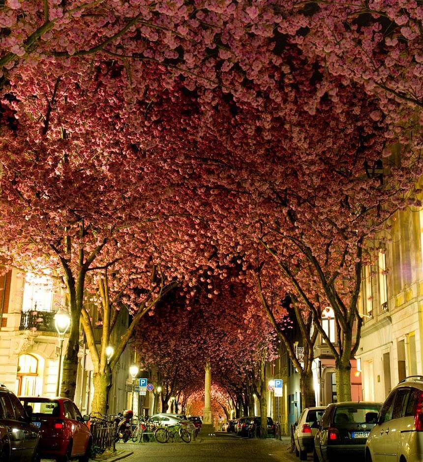 Foto per gentile concessione di Adas Meliauskas e Brian Hsu.