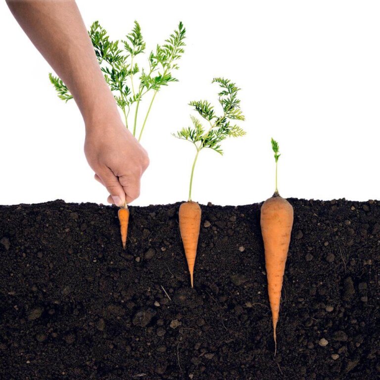 Undici stratagemmi per manipolarvi