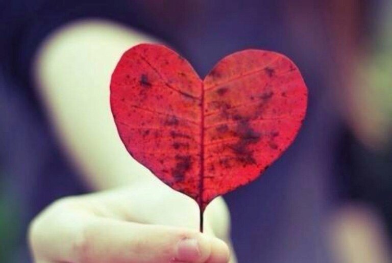 Qual è il profilo emotivo del vostro cervello?