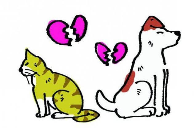 5 idee per trasformare una discussione in opportunità