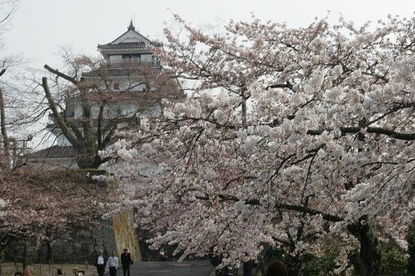 Le sette virtù del Bushidō giapponese