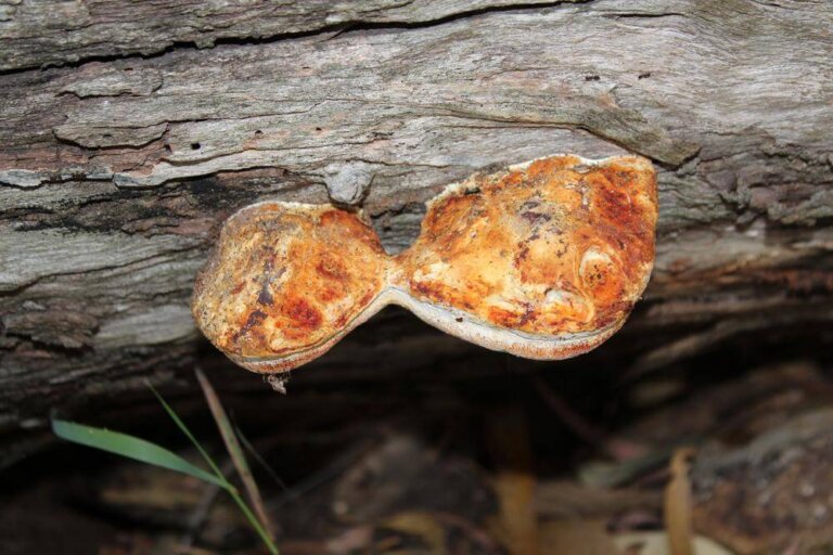 7 abitudini per continuare a crescere nella coppia