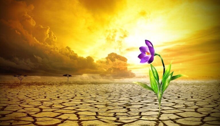 Cinque segreti per sviluppare la resilienza