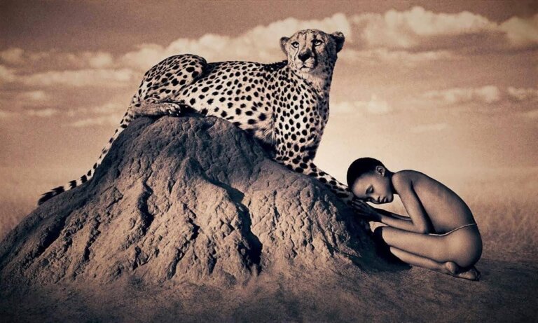 Il coraggio di intraprendere un viaggio interiore