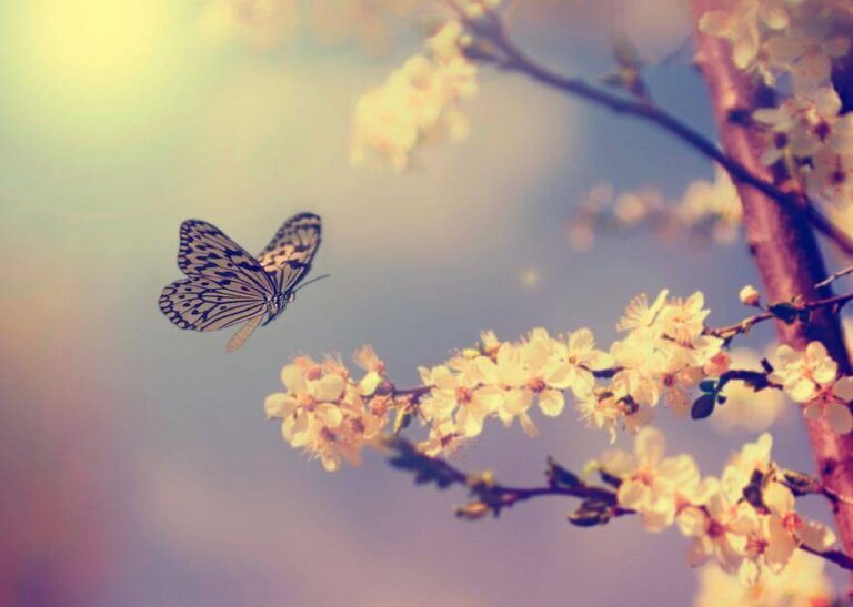 Il momento di volare