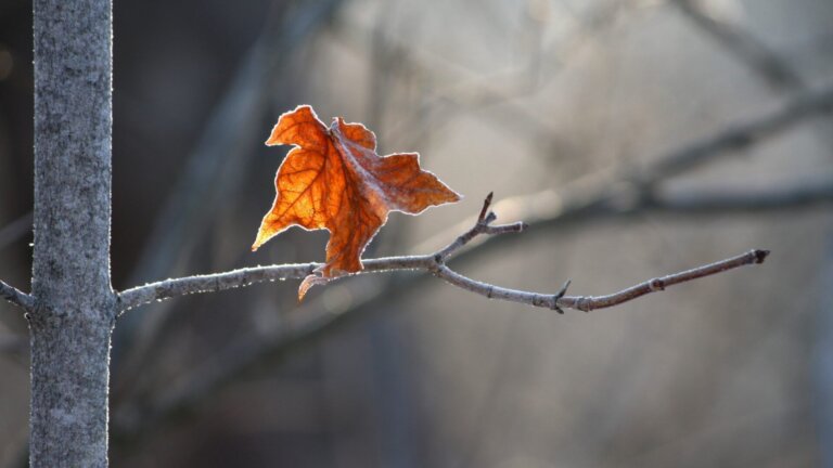 La depressione e la sofferenza messe a tacere