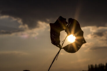 Tre ferite che non chiuderete mai e l'amore che non è stato