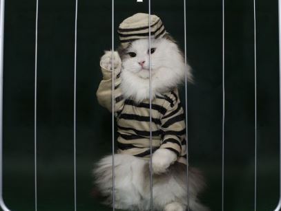 11 modi per essere infelici