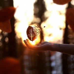 insicurezza personale