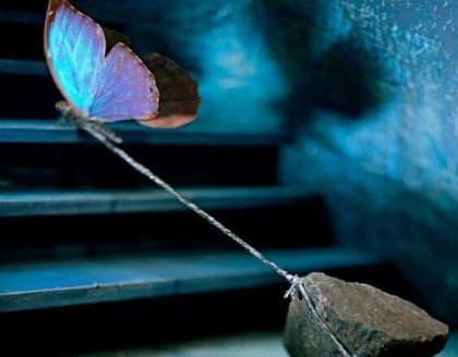 Farfalla-pietra