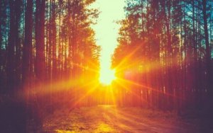 felicità e tristezza (2)