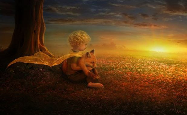 Non si vede bene che col cuore, l'essenziale è invisibile agli occhi