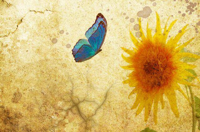 Bisogna lottare per ciò che vale la pena avere