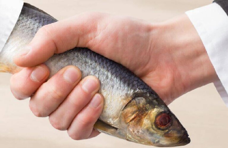 Come riconoscere i falsi amici