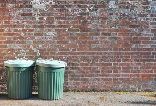 La metafora del bidone della spazzatura