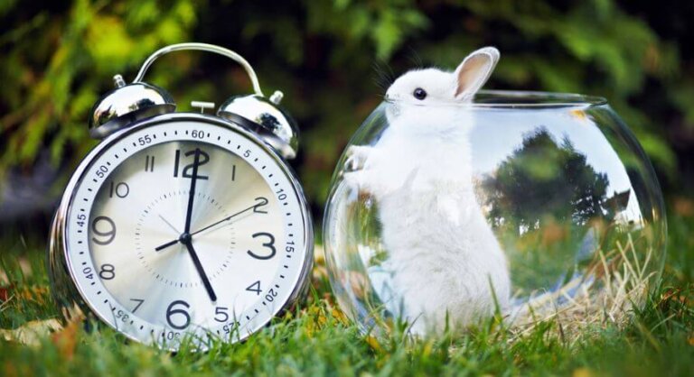 Cose produttive da fare in soli 5 minuti