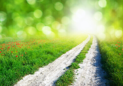 3 istinti che non sbagliano (quasi) mai