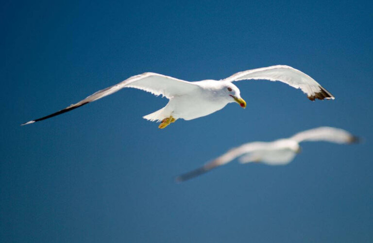 Non sei tu, sono io... E senza di te, sono tutto!