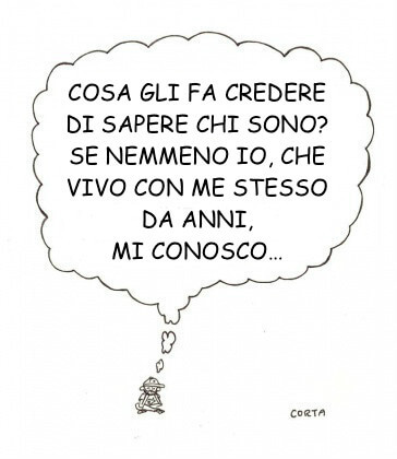 Vignetta14