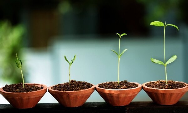 Tenere vicini i nemici per crescere.