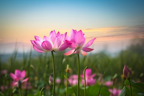 Qui e adesso, non conta nient'altro