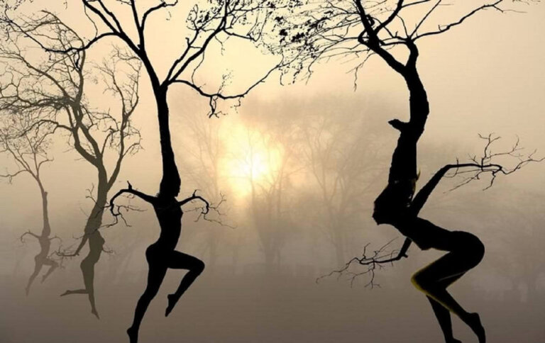 Una vita di ali o radici (staticità o cambiamento)