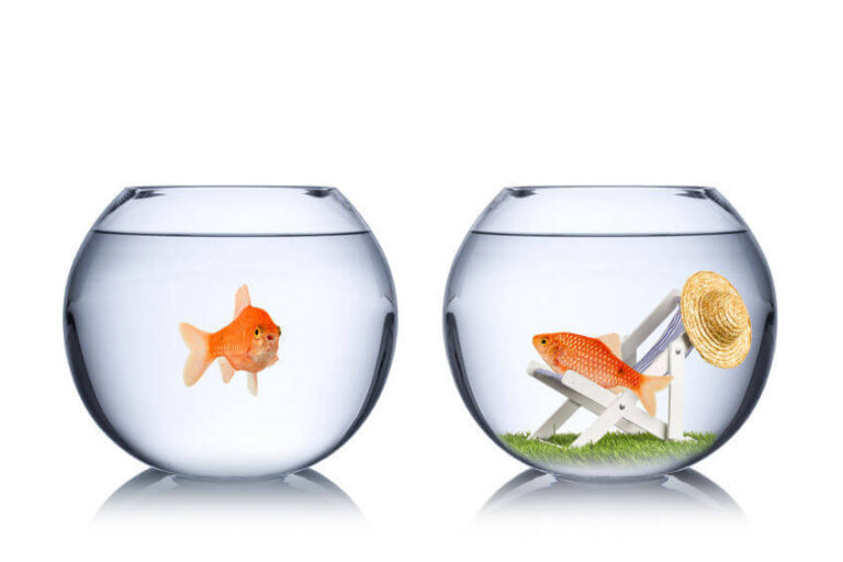 Smettete di pensare di meritare di più