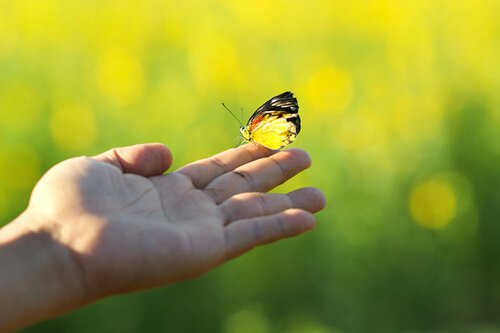Come dare una svolta alla propria vita