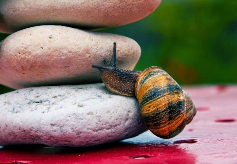 L'arte di non amareggiarsi la vita