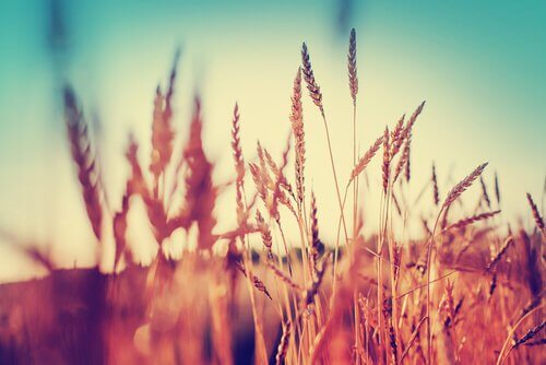 Applicate l'abbondanza alla vostra vita