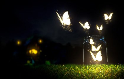 farfalle nel barattolo