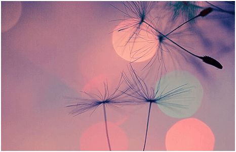 permetti quello che meriti 3