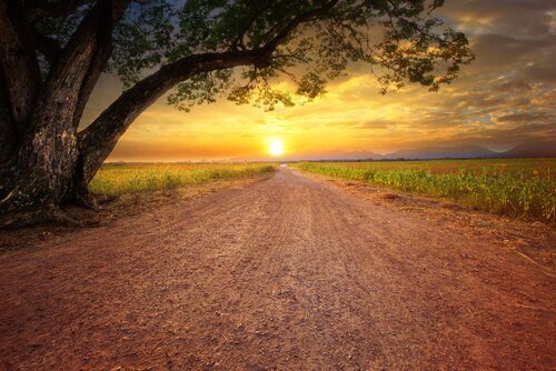 Cosa fare quando non si è motivati?