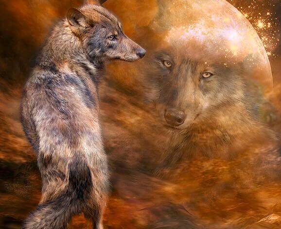 La bellezza è un atteggiamento