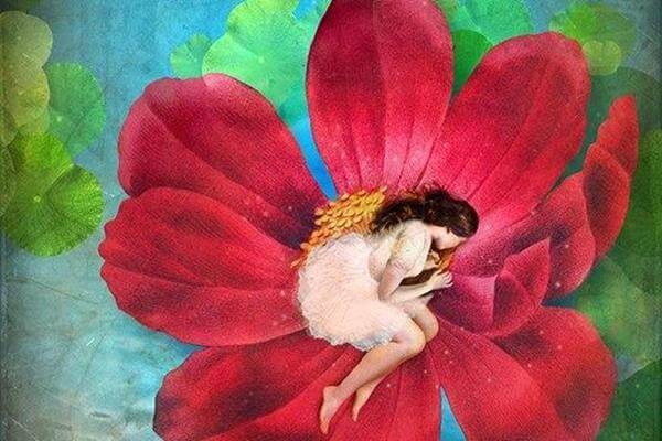 donna dentro un fiore